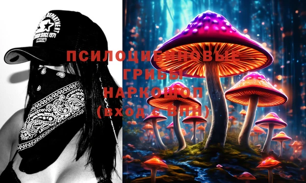не бодяженный Елабуга