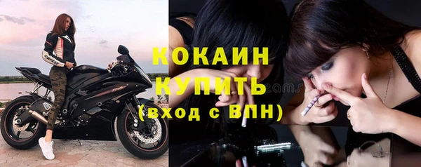 альфа пвп Заволжск