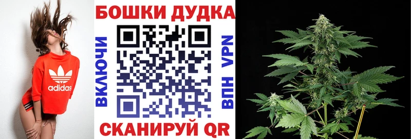 Купить закладки  Лобня  Бошки Шишки сатива 